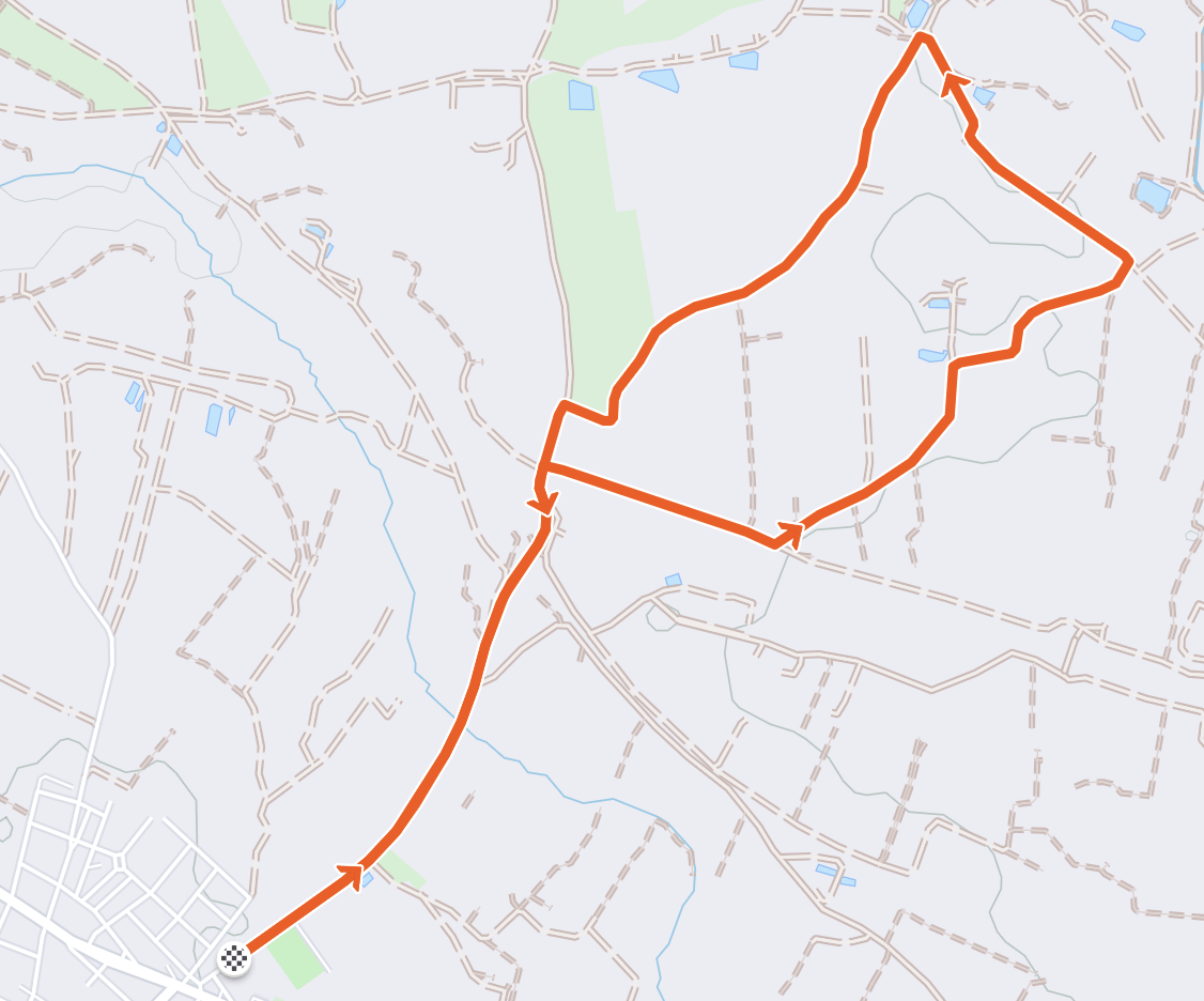 cursa5km